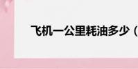 飞机一公里耗油多少(飞酷小说)