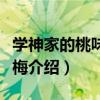 学神家的桃味小青梅（关于学神家的桃味小青梅介绍）