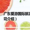 广东爱游国际旅游有限公司（关于广东爱游国际旅游有限公司介绍）