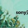 sony无线耳机（sonyw220）