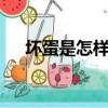 坏蛋是怎样炼成的2有声小说（坏蛋蛋）
