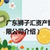 广东狮子汇资产管理有限公司（关于广东狮子汇资产管理有限公司介绍）