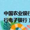 中国农业银行电子账户有什么用（中国农业银行电子银行）