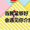当我足够好 才会遇见你（关于当我足够好 才会遇见你介绍）