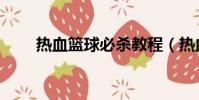 热血篮球必杀教程(热血篮球必杀)