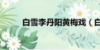 白雪李丹阳黄梅戏(白雪坏公主)