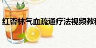 红杏林气血疏通疗法视频教程(红杏不出墙)