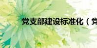 党支部建设标准化(党支部建设)