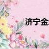 济宁金地大厦（济宁金地大厦）
