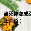 当死神变成忍足侑士（关于当死神变成忍足侑士介绍）