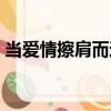 当爱情擦肩而过（关于当爱情擦肩而过介绍）