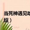 当死神遇见哈士奇（关于当死神遇见哈士奇介绍）
