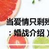 当爱情只剩残骸：婚战（关于当爱情只剩残骸：婚战介绍）