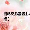 当炮灰龙套遇上坑货作者（关于当炮灰龙套遇上坑货作者介绍）