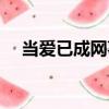 当爱已成网事（关于当爱已成网事介绍）