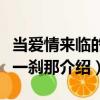 当爱情来临的那一刹那（关于当爱情来临的那一刹那介绍）