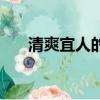 清爽宜人的反义词（清爽宜人的意思）