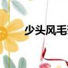 少头风毛菊（关于少头风毛菊简介）
