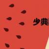 少典国（关于少典国简介）