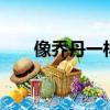 像乔丹一样打球2（像乔丹一样打球）