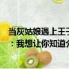 当灰姑娘遇上王子：我想让你知道（关于当灰姑娘遇上王子：我想让你知道介绍）
