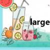 large是什么品牌（largely）