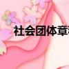 社会团体章程范本最新（社会团体章程）