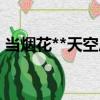 当烟花**天空后（关于当烟花**天空后介绍）