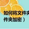 如何将文件夹加密后让人无法打开（如何将文件夹加密）