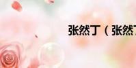 张然丁(张然丁)