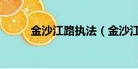 金沙江路执法(金沙江路枣阳路)