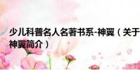 少儿科普名人名著书系-神翼(关于少儿科普名人名著书系-神翼简介)