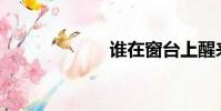 谁在窗台上醒来?