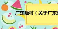 广东畈村(关于广东畈村介绍)