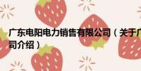 广东电阳电力销售有限公司(关于广东电阳电力销售有限公司介绍)