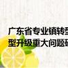 广东省专业镇转型升级重大问题研究（关于广东省专业镇转型升级重大问题研究介绍）