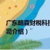 广东皓森财税科技有限公司（关于广东皓森财税科技有限公司介绍）
