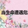 当生命遭遇危险（关于当生命遭遇危险介绍）