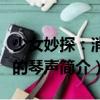 少女妙探：消逝的琴声（关于少女妙探：消逝的琴声简介）