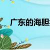 广东的海胆类（关于广东的海胆类介绍）