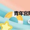 青年宫附近电影院（青年宫ktv）