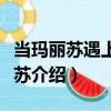 当玛丽苏遇上汤姆苏（关于当玛丽苏遇上汤姆苏介绍）