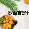 罗百吉是什么意思（罗百吉是男是女）