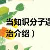 当知识分子遇到政治（关于当知识分子遇到政治介绍）