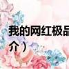 我的网红极品女友（关于我的网红极品女友简介）