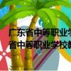 广东省中等职业学校教师职称制度改革实施方案（关于广东省中等职业学校教师职称制度改革实施方案介绍）