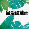 当爱破茧而出（关于当爱破茧而出介绍）