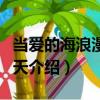 当爱的海浪漫过夏天（关于当爱的海浪漫过夏天介绍）
