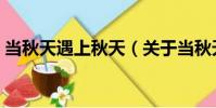 当秋天遇上秋天(关于当秋天遇上秋天介绍)