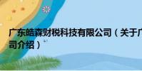 广东皓森财税科技有限公司(关于广东皓森财税科技有限公司介绍)